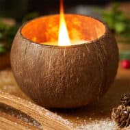 Coconut Shell Candle - Toasted Coconut Scent - Image 2